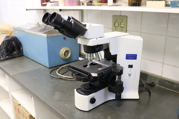 Microscópio de contraste de fase marca Olympus, modelo BX 41